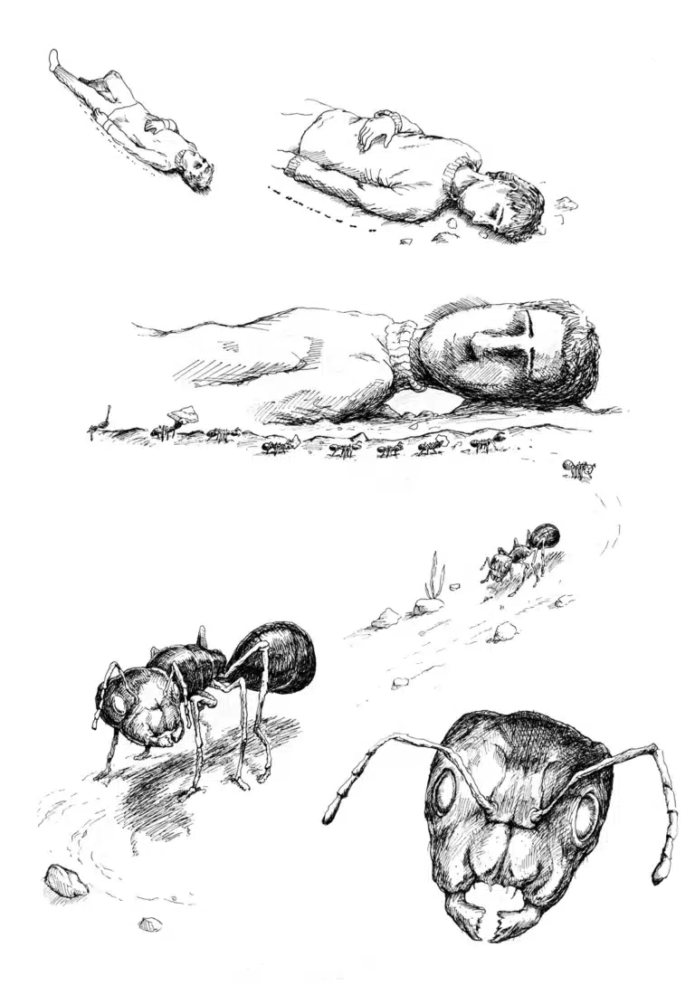 La Révolution des fourmis, planche originale : les fourmis